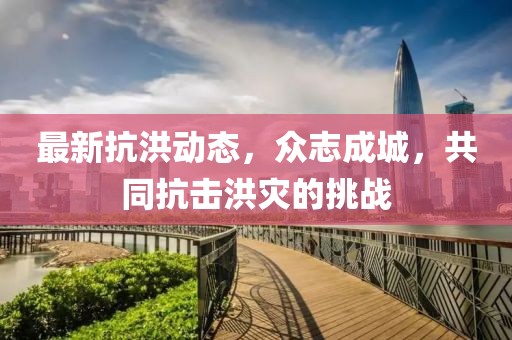 最新抗洪动态，众志成城，共同抗击洪灾的挑战