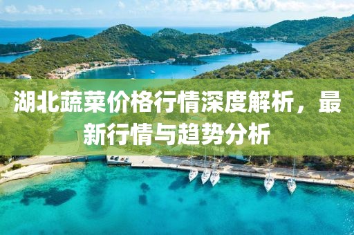湖北蔬菜价格行情深度解析，最新行情与趋势分析