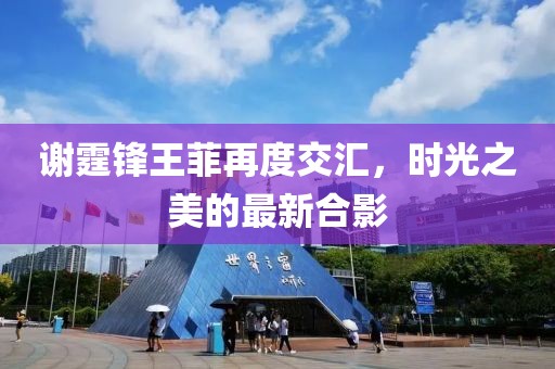 谢霆锋王菲再度交汇，时光之美的最新合影