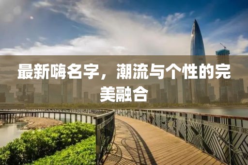 最新嗨名字，潮流与个性的完美融合