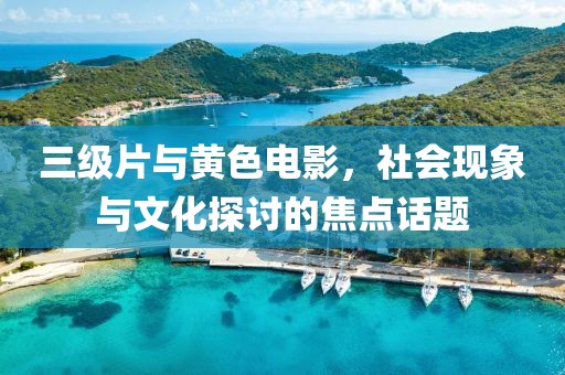 三级片与黄色电影，社会现象与文化探讨的焦点话题