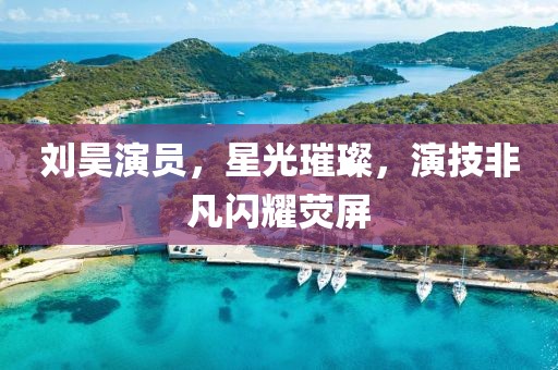 刘昊演员，星光璀璨，演技非凡闪耀荧屏