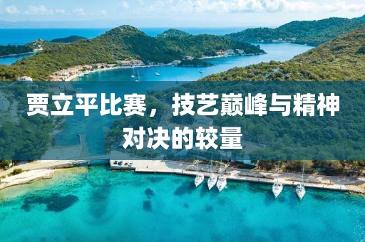 贾立平比赛，技艺巅峰与精神对决的较量