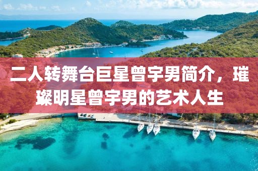 二人转舞台巨星曾宇男简介，璀璨明星曾宇男的艺术人生