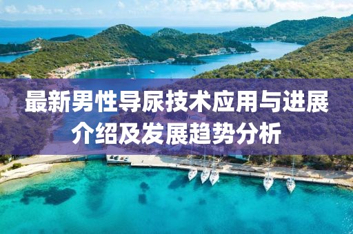 最新男性导尿技术应用与进展介绍及发展趋势分析