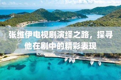 张维伊电视剧演绎之路，探寻他在剧中的精彩表现