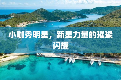 小咖秀明星，新星力量的璀璨闪耀