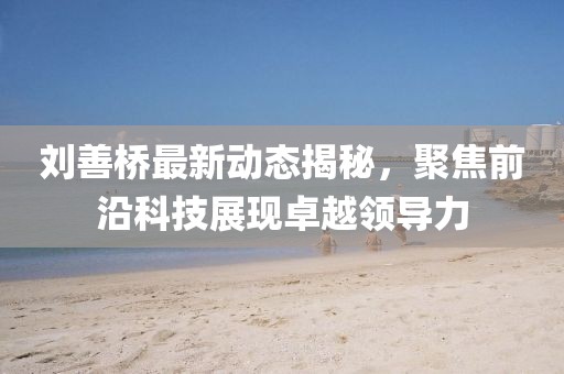 刘善桥最新动态揭秘，聚焦前沿科技展现卓越领导力
