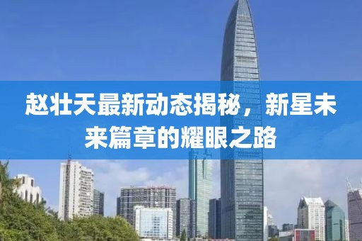 赵壮天最新动态揭秘，新星未来篇章的耀眼之路