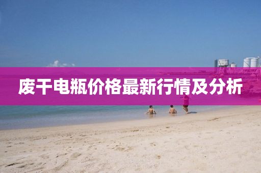 废干电瓶价格最新行情及分析