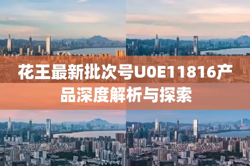 花王最新批次号U0E11816产品深度解析与探索