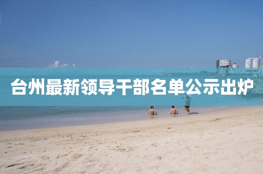 台州最新领导干部名单公示出炉