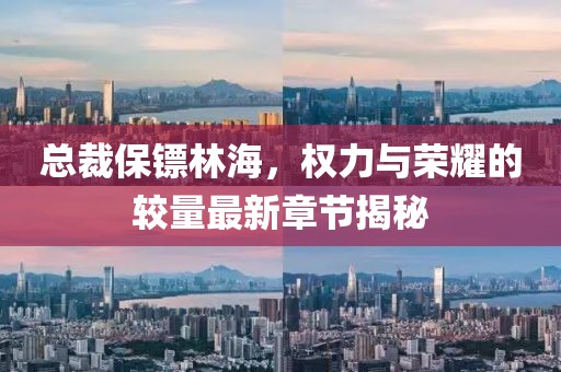 总裁保镖林海，权力与荣耀的较量最新章节揭秘