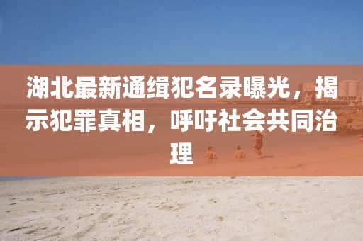 湖北最新通缉犯名录曝光，揭示犯罪真相，呼吁社会共同治理