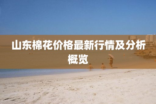 山东棉花价格最新行情及分析概览