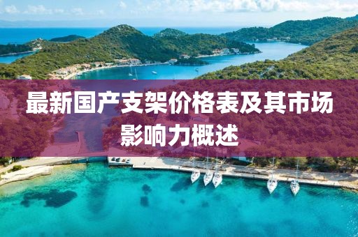最新国产支架价格表及其市场影响力概述
