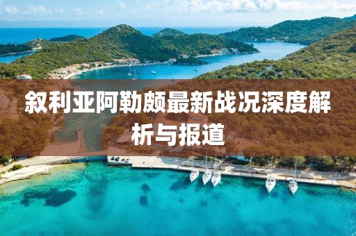叙利亚阿勒颇最新战况深度解析与报道