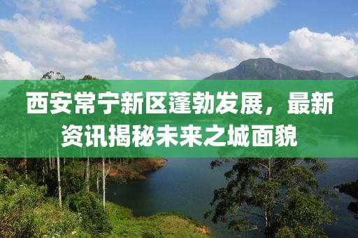 月城 第8页