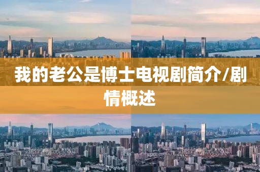 我的老公是博士电视剧简介/剧情概述
