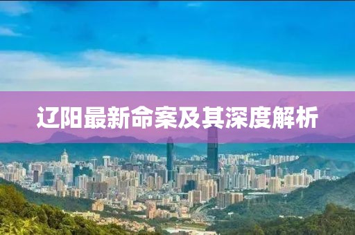 辽阳最新命案及其深度解析