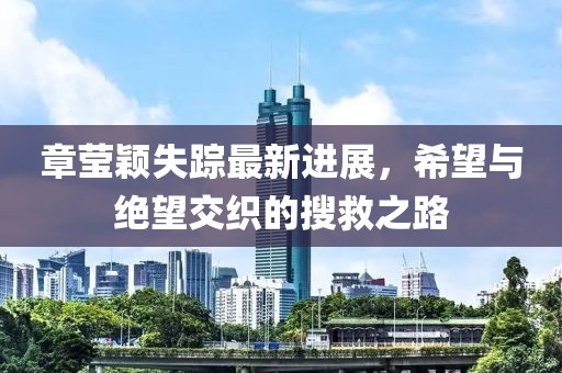 章莹颖失踪最新进展，希望与绝望交织的搜救之路
