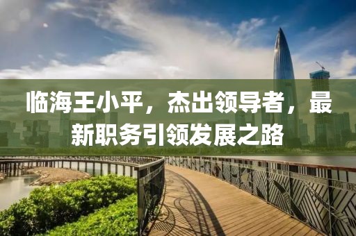 临海王小平，杰出领导者，最新职务引领发展之路