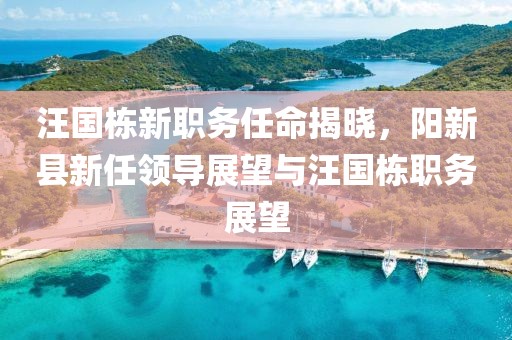 汪国栋新职务任命揭晓，阳新县新任领导展望与汪国栋职务展望
