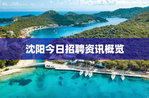 沈阳今日招聘资讯概览