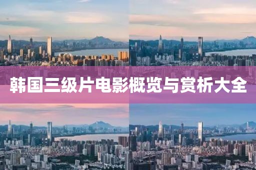 韩国三级片电影概览与赏析大全