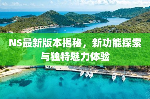 NS最新版本揭秘，新功能探索与独特魅力体验
