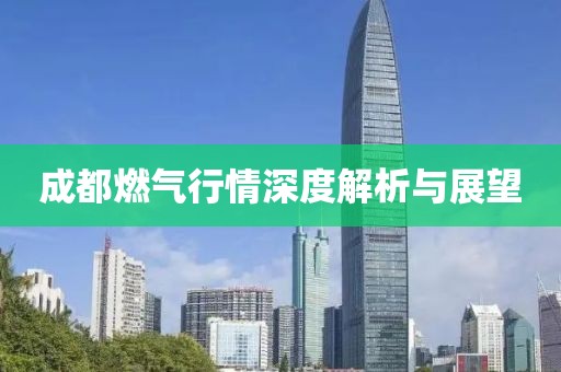成都燃气行情深度解析与展望