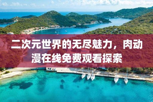二次元世界的无尽魅力，肉动漫在线免费观看探索