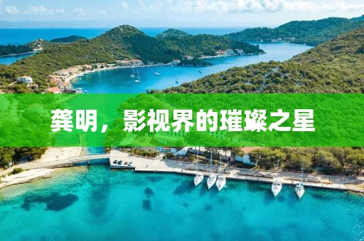 龚明，影视界的璀璨之星