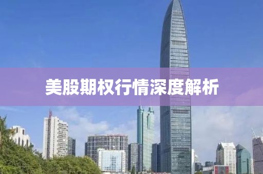 美股期权行情深度解析