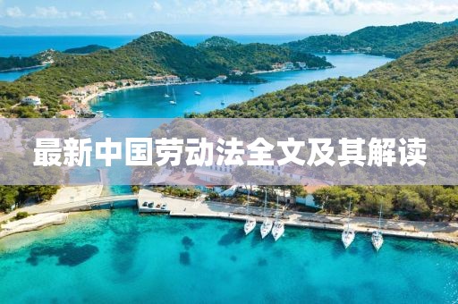 最新中国劳动法全文及其解读