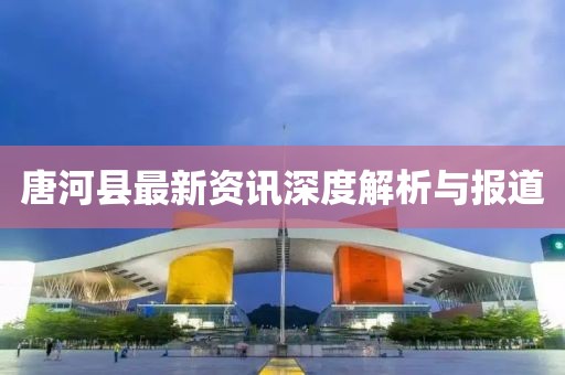 唐河县最新资讯深度解析与报道
