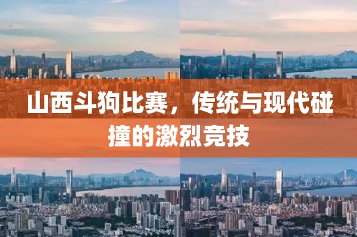 山西斗狗比赛，传统与现代碰撞的激烈竞技