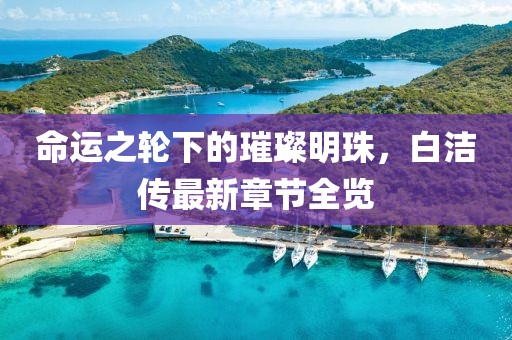 命运之轮下的璀璨明珠，白洁传最新章节全览