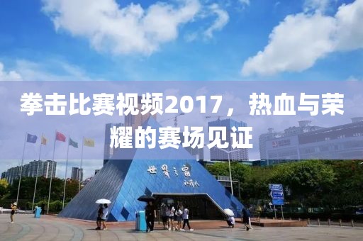 拳击比赛视频2017，热血与荣耀的赛场见证