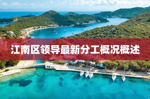 江南区领导最新分工概况概述