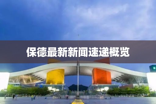 保德最新新闻速递概览