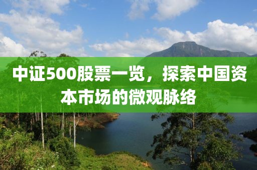 中证500股票一览，探索中国资本市场的微观脉络