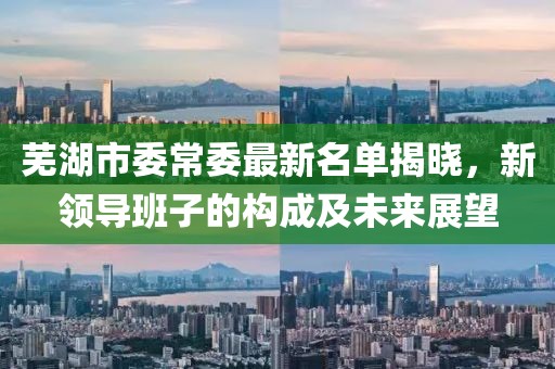 芜湖市委常委最新名单揭晓，新领导班子的构成及未来展望