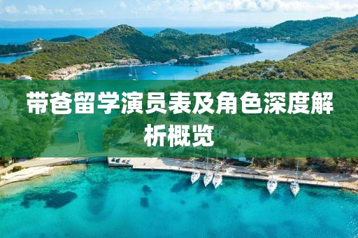带爸留学演员表及角色深度解析概览