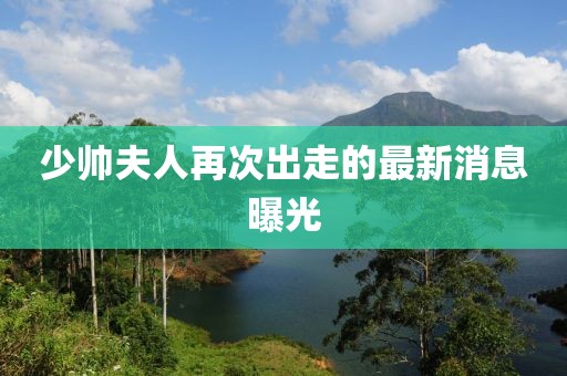 少帅夫人再次出走的最新消息曝光