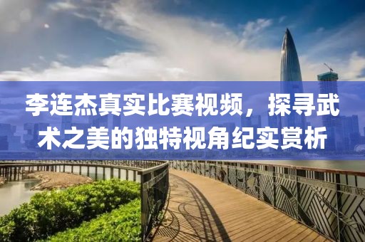 李连杰真实比赛视频，探寻武术之美的独特视角纪实赏析