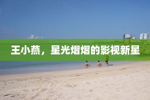 王小燕，星光熠熠的影视新星