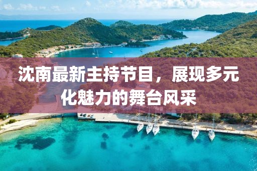 沈南最新主持节目，展现多元化魅力的舞台风采