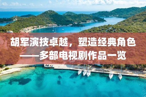 胡军演技卓越，塑造经典角色——多部电视剧作品一览