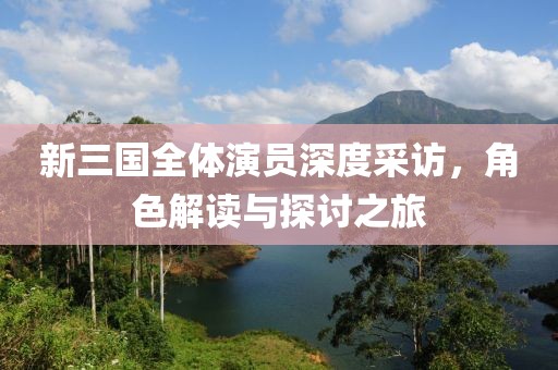 新三国全体演员深度采访，角色解读与探讨之旅